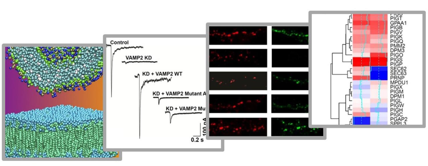 Shen Lab Data Cascade