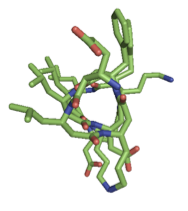 beta-peptide helix