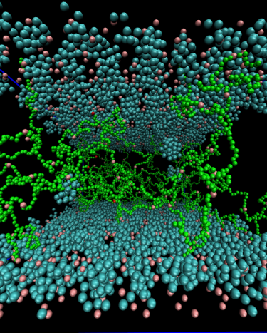 Polymeric Purification Material