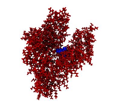 Human Serum Albumen