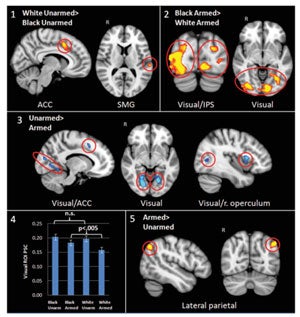 fmri brain regions