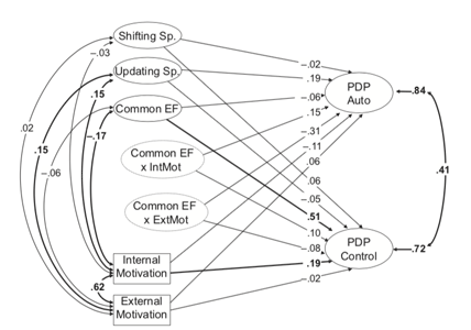 Structural equation model