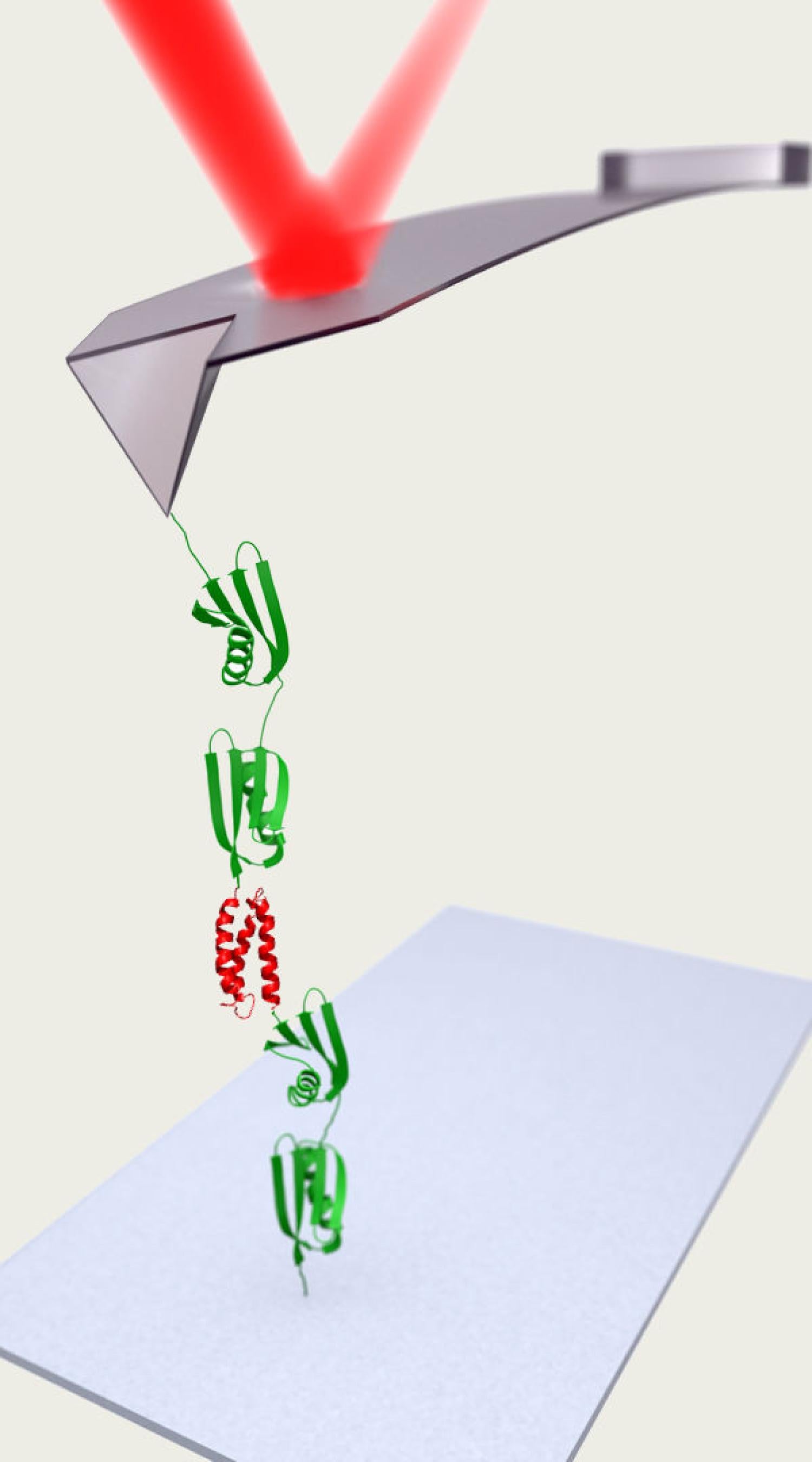 cantilever