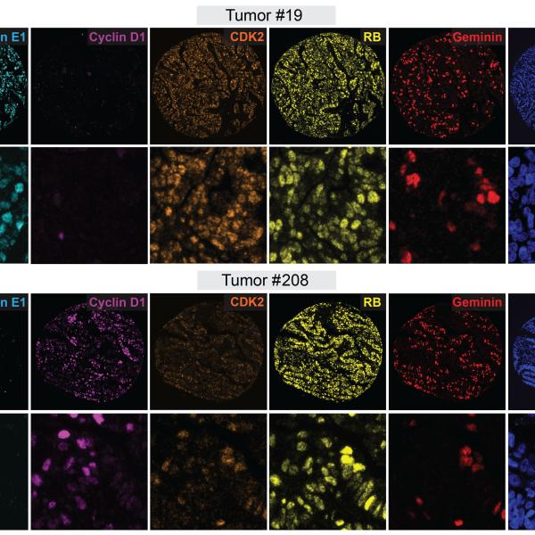 Sine et. al. 2025 cropped