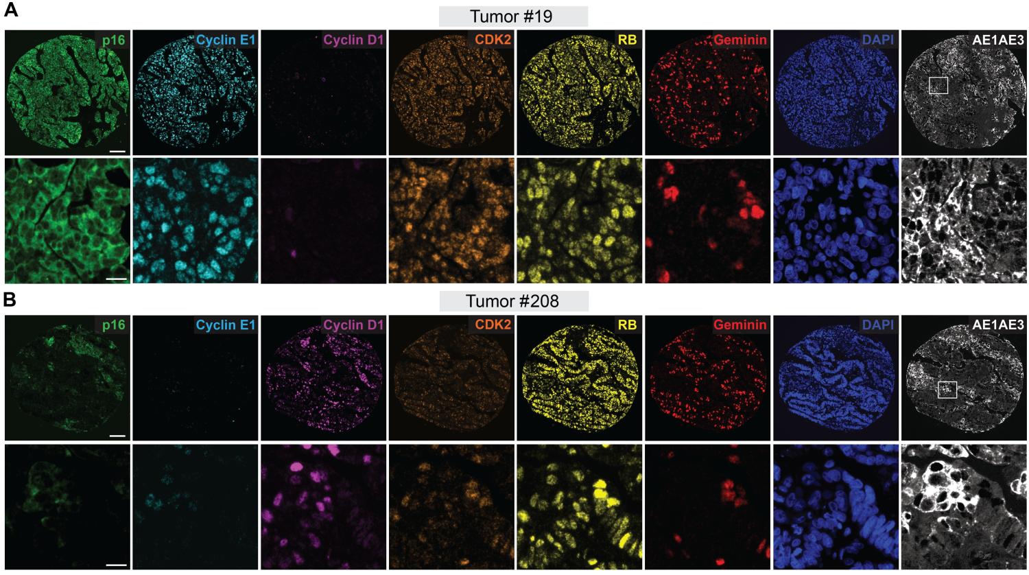 Sine et. al. 2025 cropped