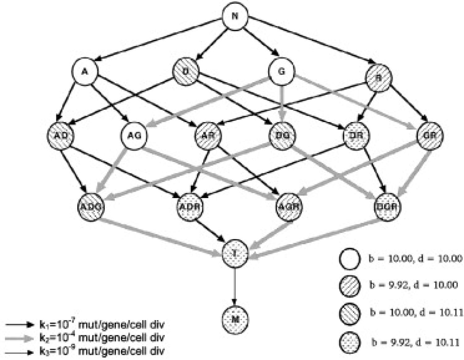 Cancer, Oncogenesis, Tumor progression, Genetic instability, Hallmarks of cancer