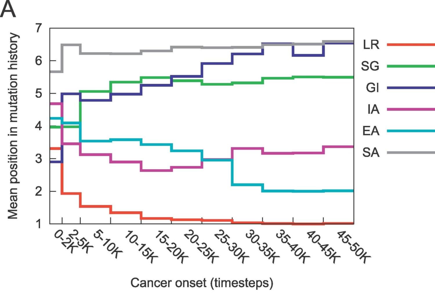Turmorigenesis, mutations, cell biology, cancer research, evolutionary dynamics, cancer progression, computational model