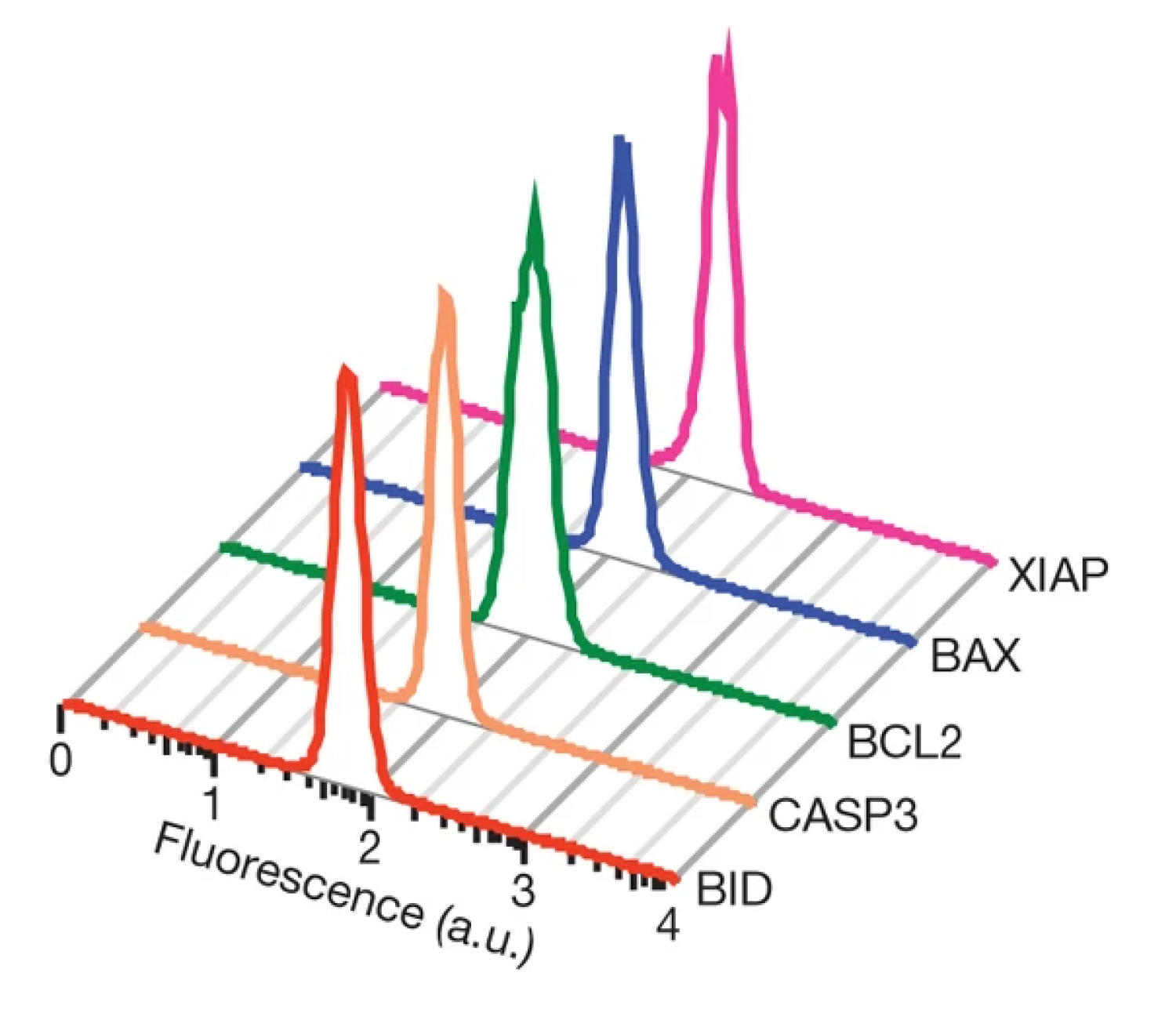 Apoptosis, TRAIL, Caspase, fractional killing, tumour cells, cell fate, signal transduction