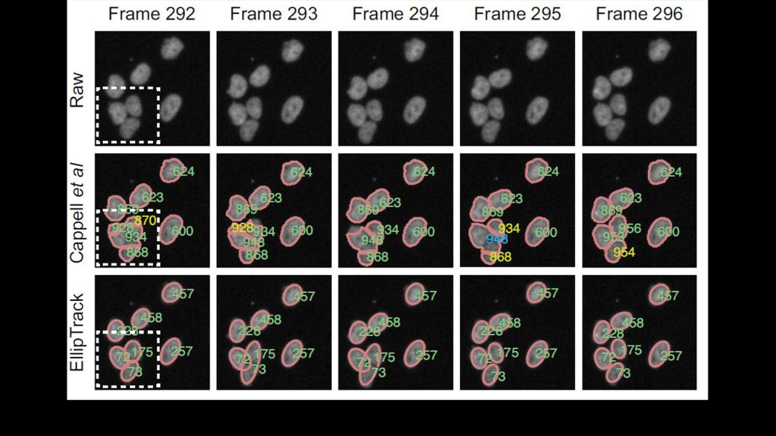 Comparison of cell tracking performance from Chengzhe's paper "EllipTrack: A Global Cell-Tracking Pipeline for Hard-to-Track Cells."