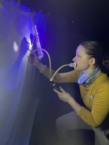 Sophia Anderson using a aspirator on a sheet