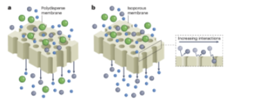 Figure of size selective membranes