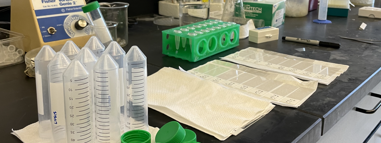 microscope slides