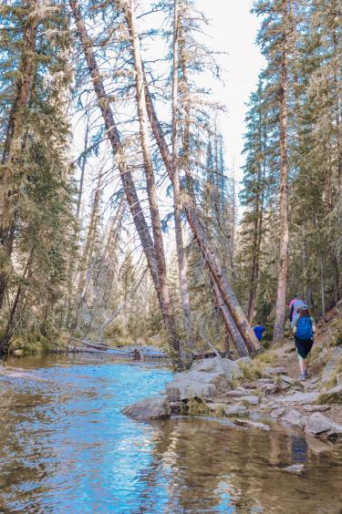 Taatjes Lab RMNP