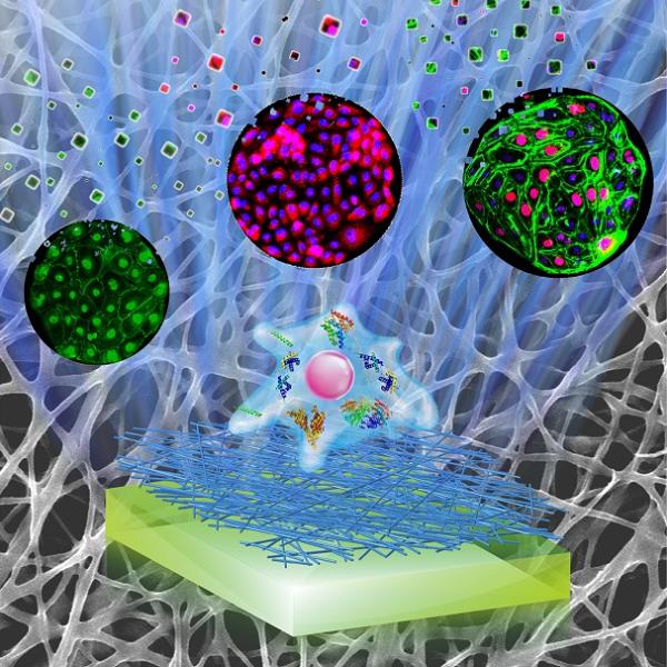 NanoBiomaterials 2