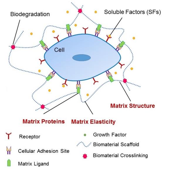 NanoBiomaterials 1