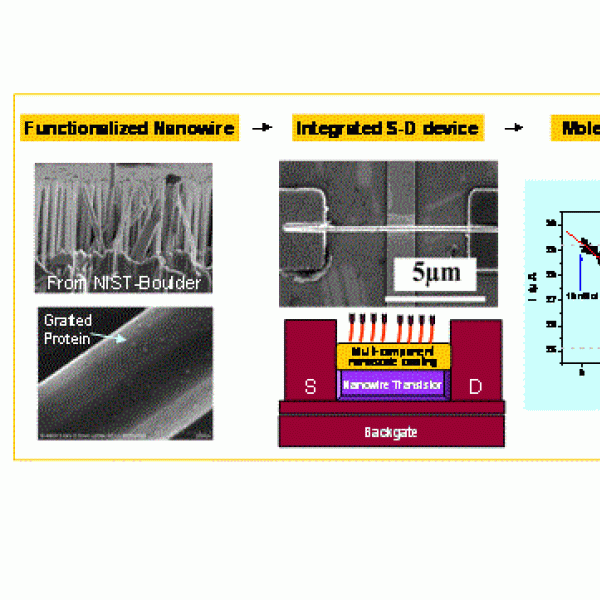 Bio-sensor/actuator Coatings