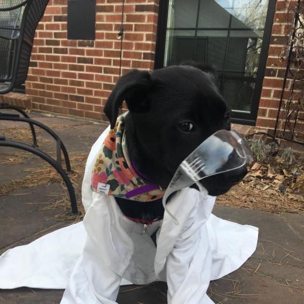 Dr. Olive