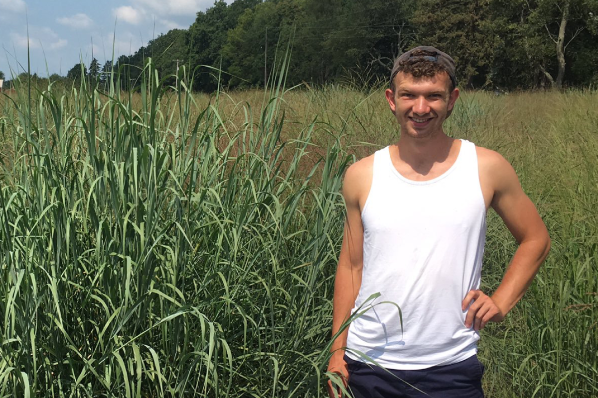 Danny ft. switchgrass