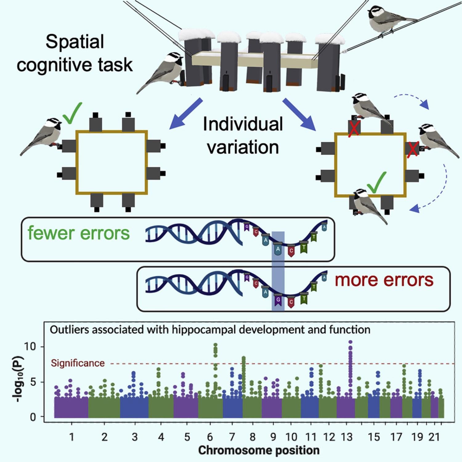 graphical abstract