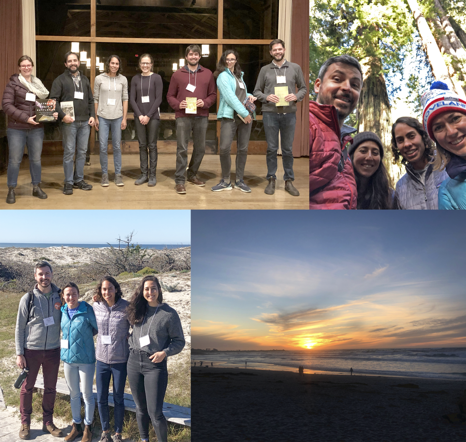 Asilomar collage