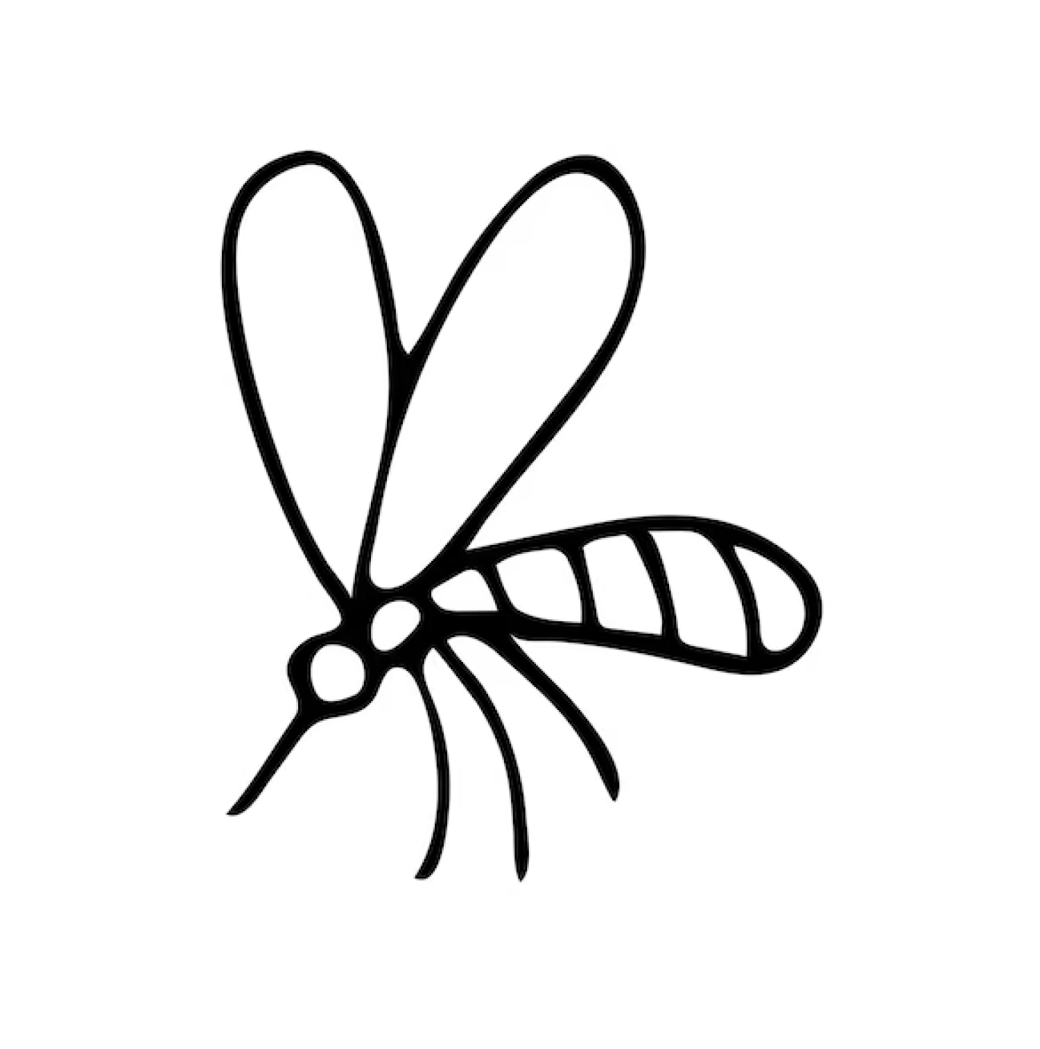 mosquito