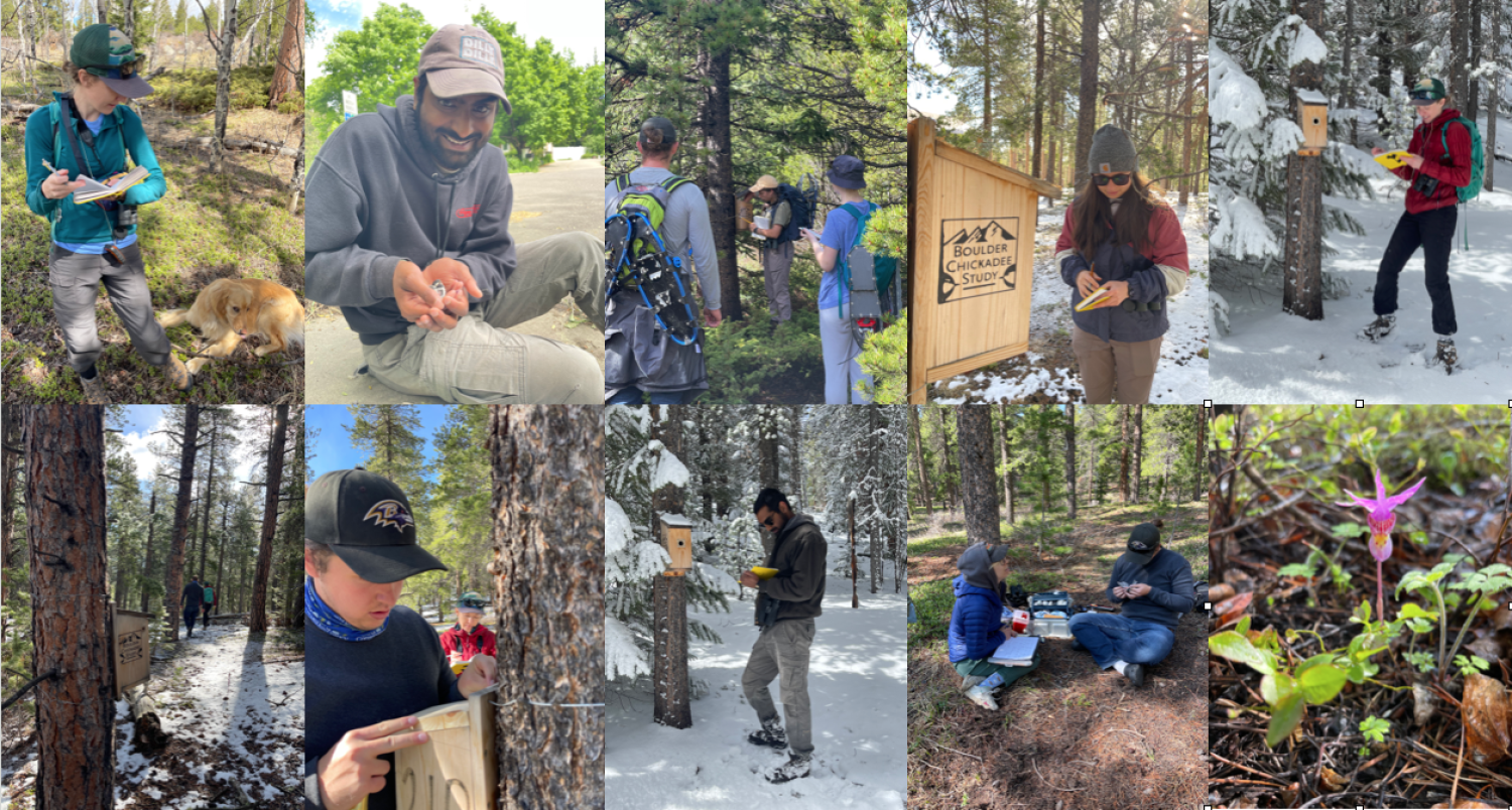 2023 field season photos