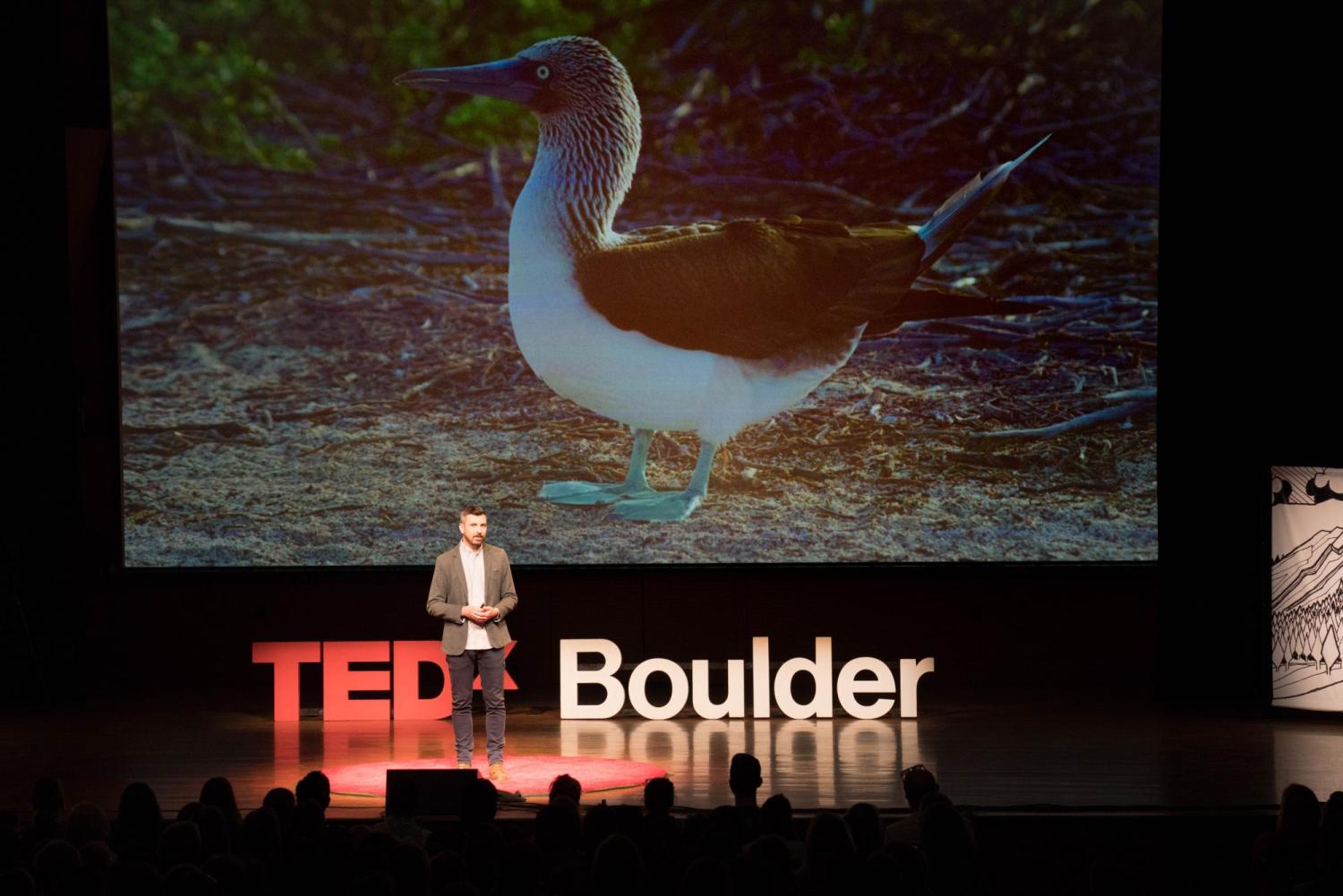Scott at TEDx, blue-footed booby photo