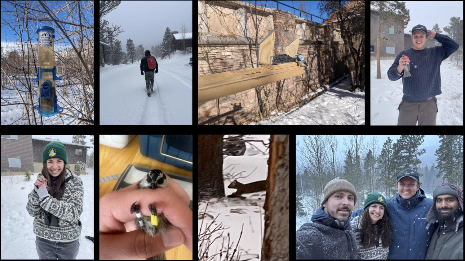 array of photos from winter fieldwork