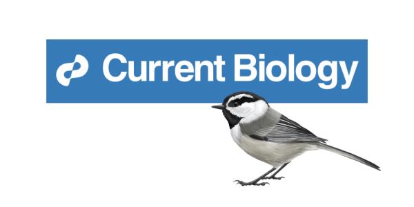 Current Biology logo
