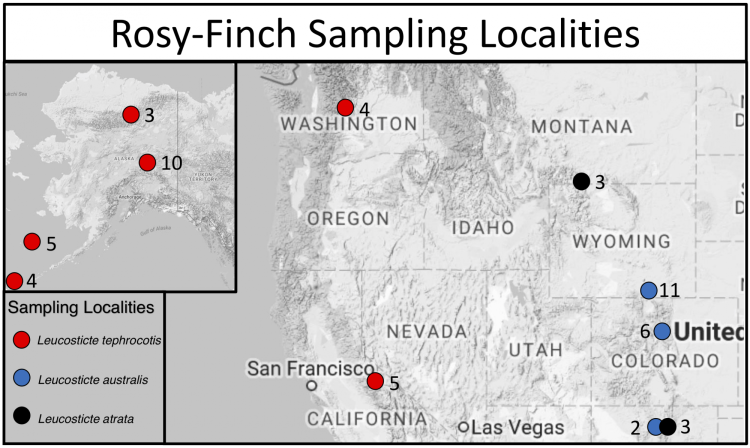 Rosy-Finch Sampling Localities