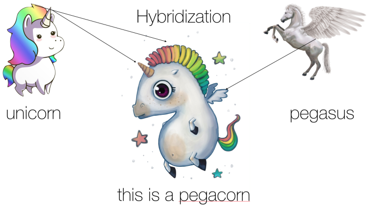 Unicorn hybridization
