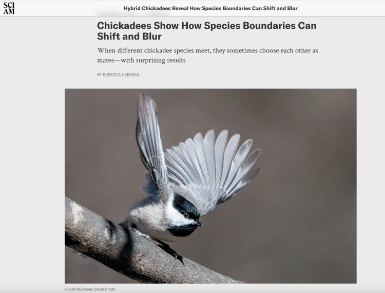 scientific american screenshot