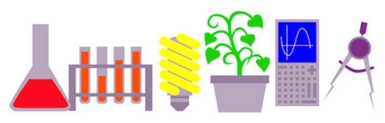 Diversity in STEM logo