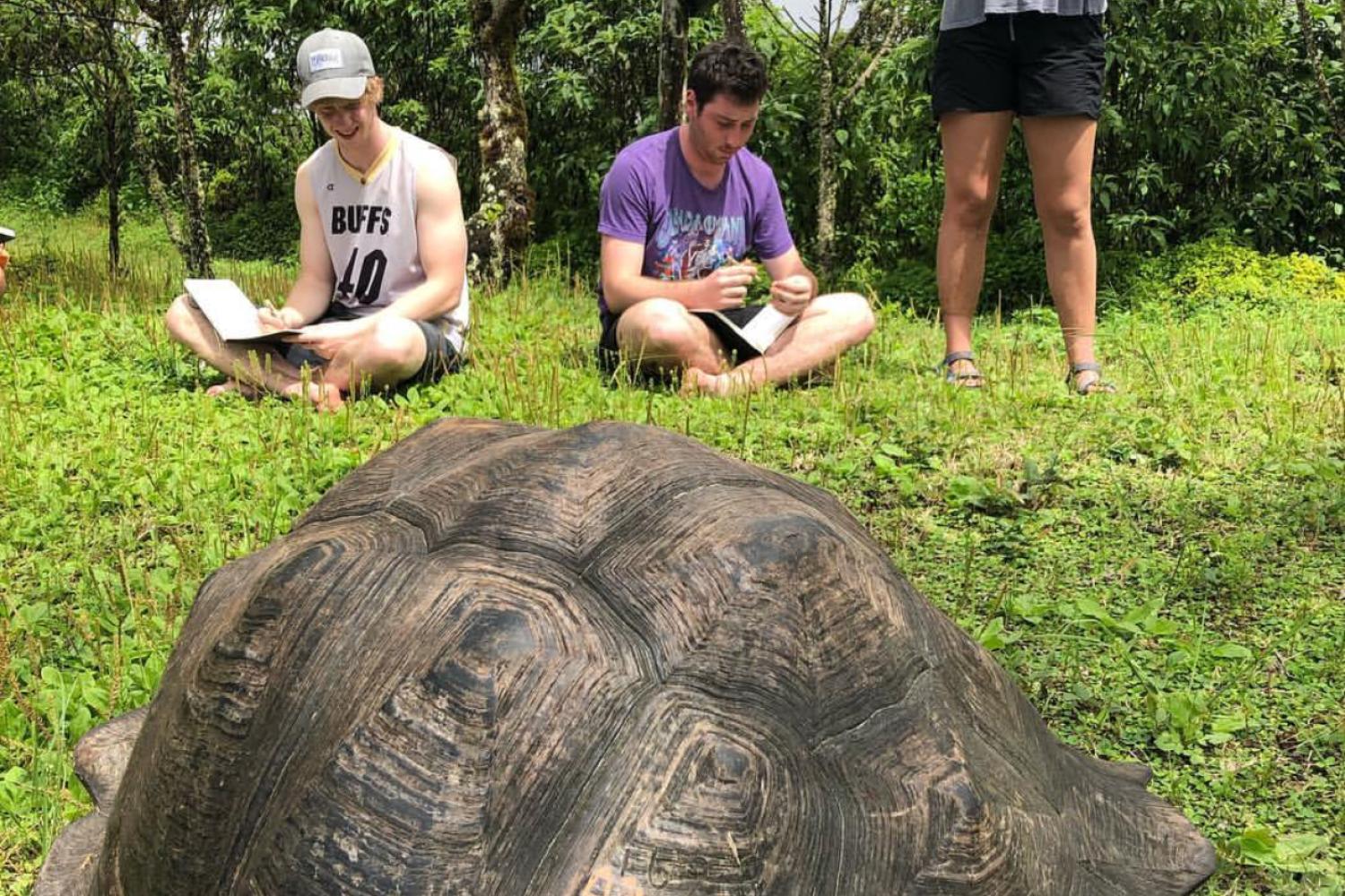 Ecology and Evolution in the Galápagos Islands