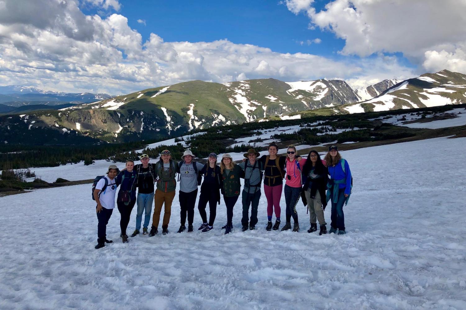 Ornithology at Niwot