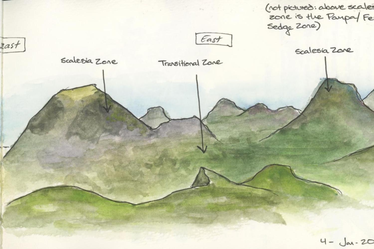Ecology and Evolution in the Galápagos Islands