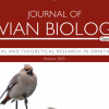 JAB cover
