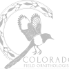CFO logo