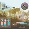 Boulder Chickadee Study graphical abstract