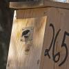 Chickadee nest box