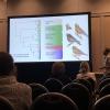 Erik presenting at the 2019 Evolution conference