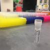 chickadee lab work