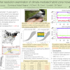 A higher resolution examination of climate-mediated hybrid zone movement Poster