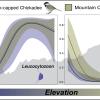 graphical abstract