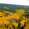 Aspen