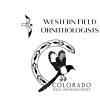 CFO and WFO logos