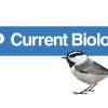 Current Biology logo