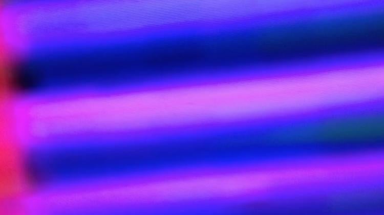 colors