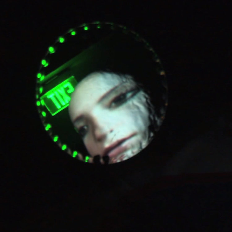 digital artwork with a fish eye image of a face on a black background circled by green lights