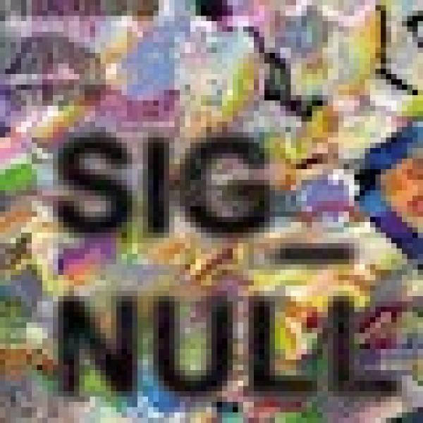 Sig_Null book cover